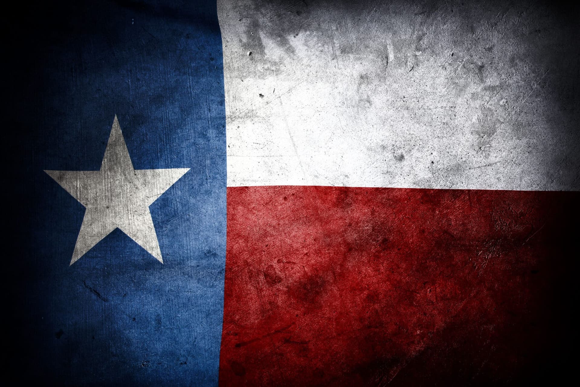 When is the Fort Worth Gun Show?